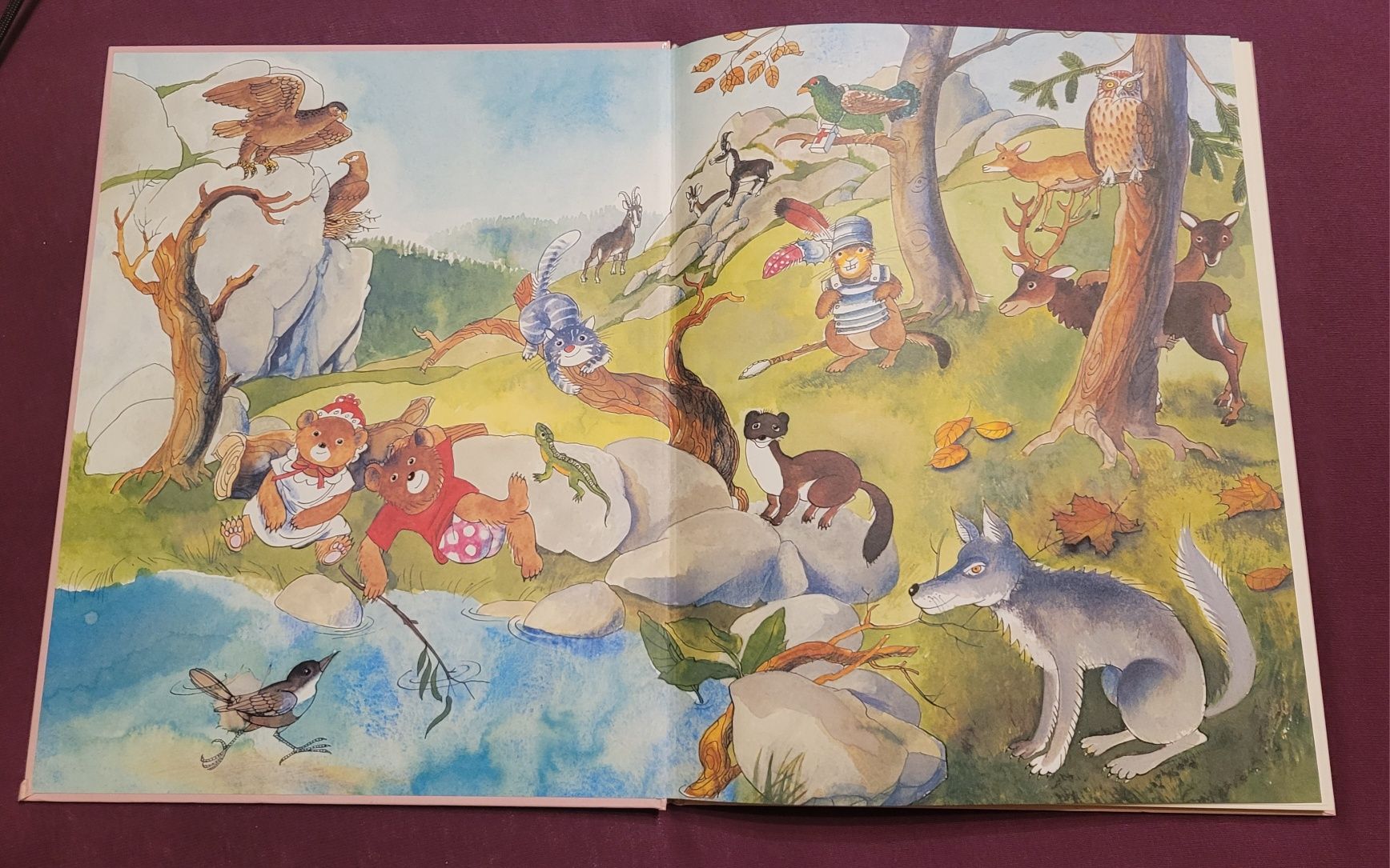 Książka - Niedźwiedź Piotrek i jego przyjaciele