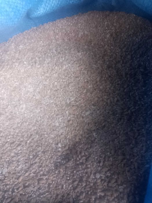 pasza dla kur nioski karma pszenica