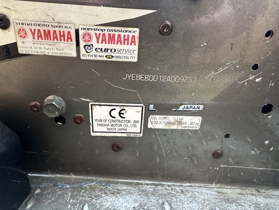 Снігоходи в Закарпатті