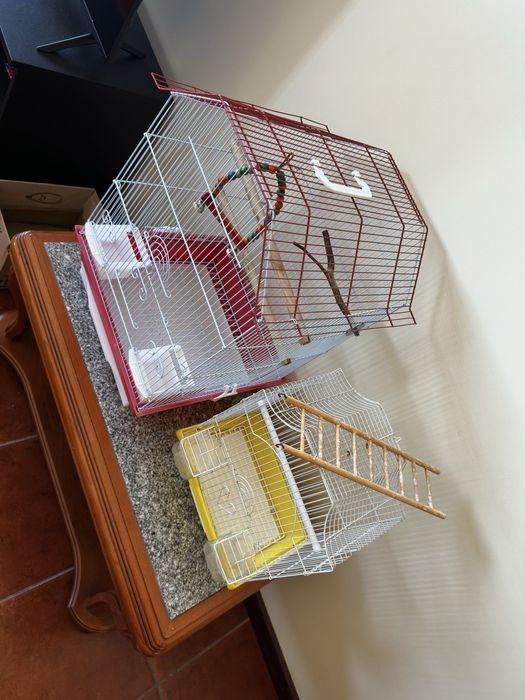Vendo Gaiolas , duas unidades