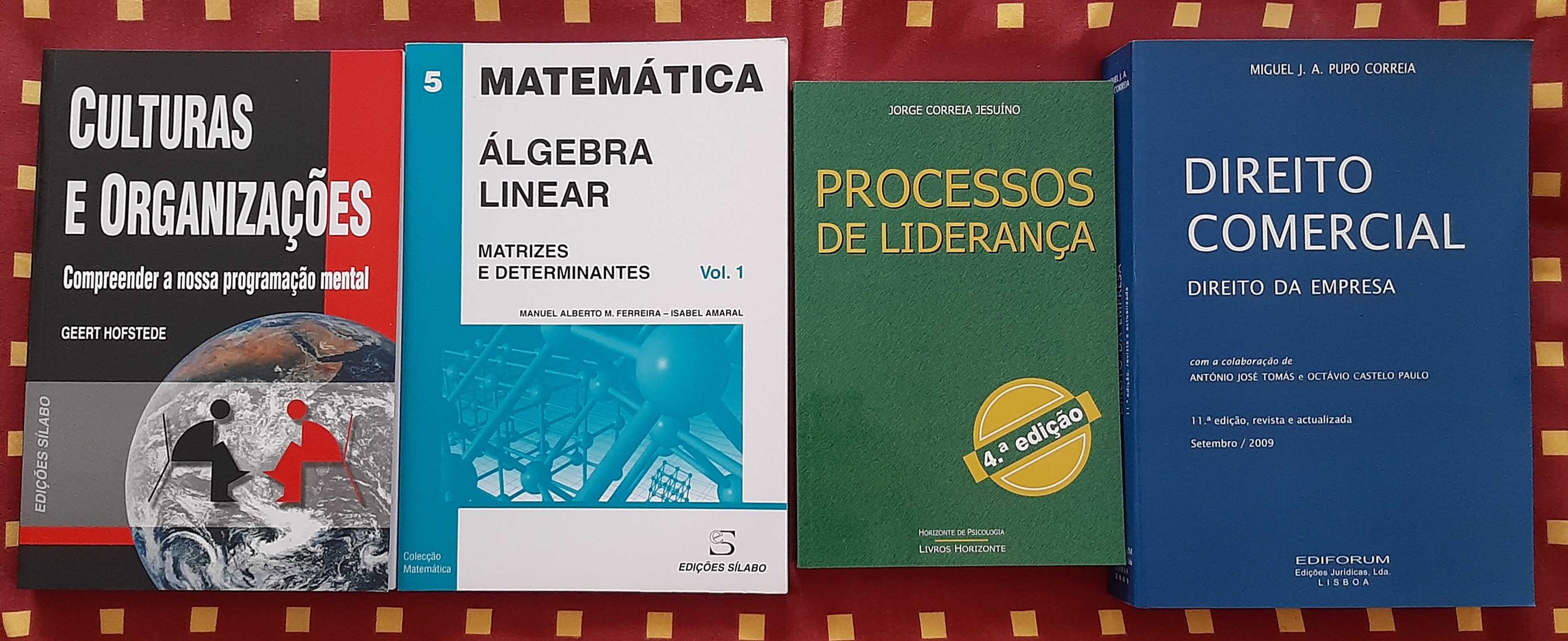 Livros de contabilidade, gestão e marketing (desde 5 €, portes grátis)