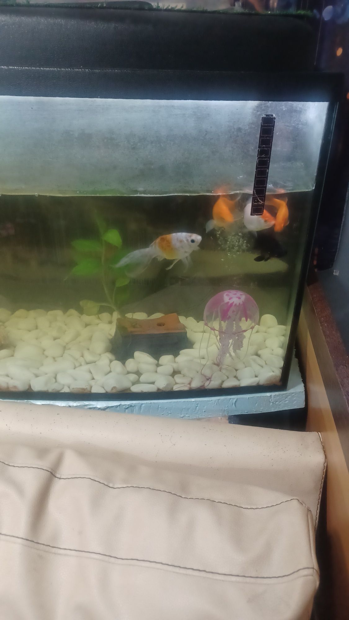 Vendo aquário 1.20 cm