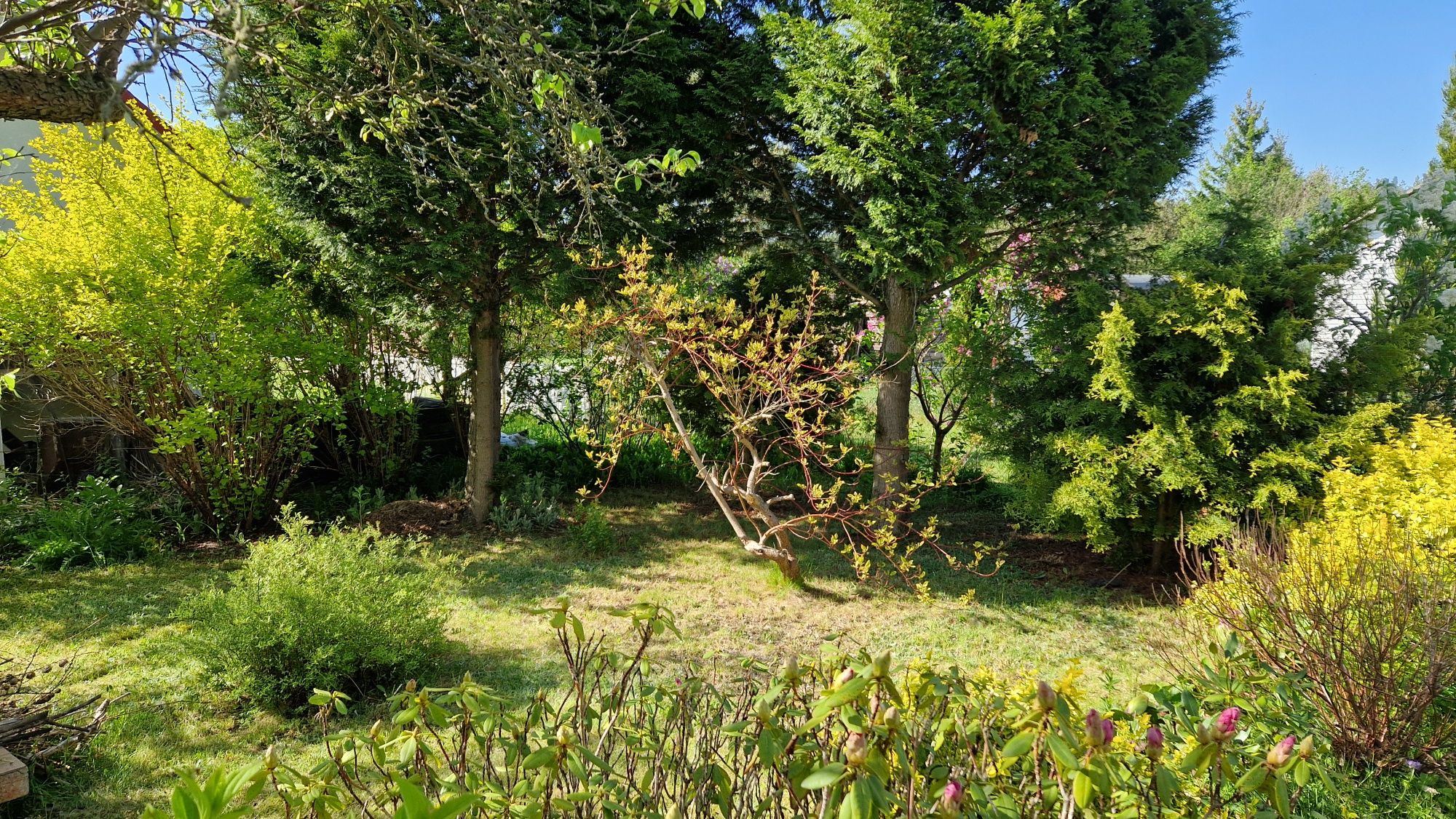 Działka z murowanym domkiem 500 m² w Ochli