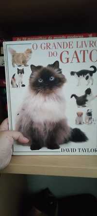O grande livro do gato