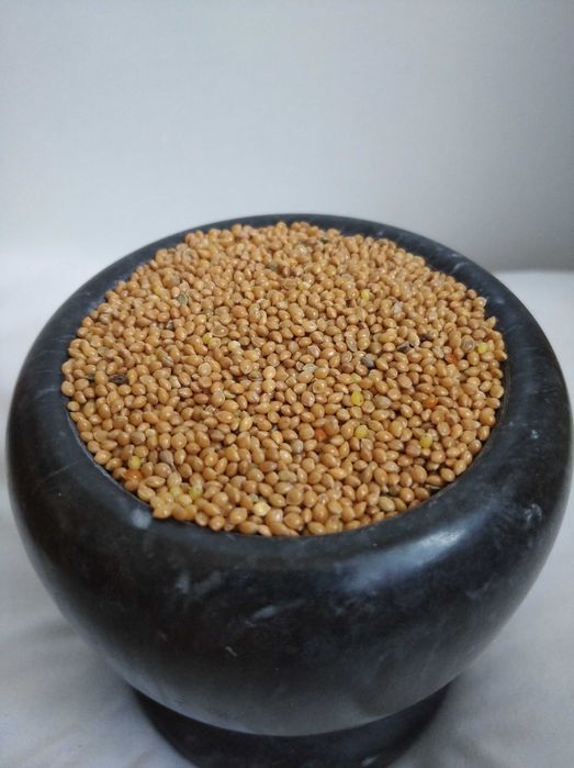 Proso karma dla kur, papug, gołębi, bażantów, przepiórek .Paczka 25kg