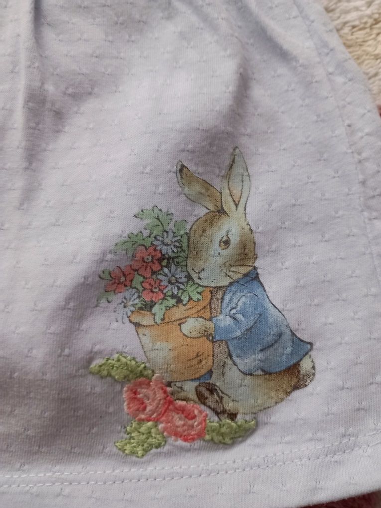 Sukieneczka sukienka z body zajączek Peter Rabbit 3 6 Tu 62 68 kołnież