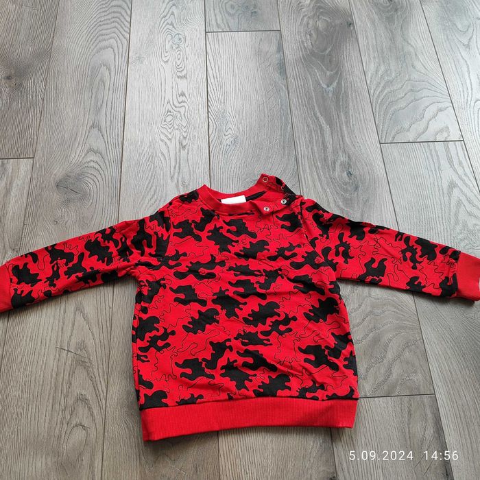 Bluza Coccodrillo rozm 98