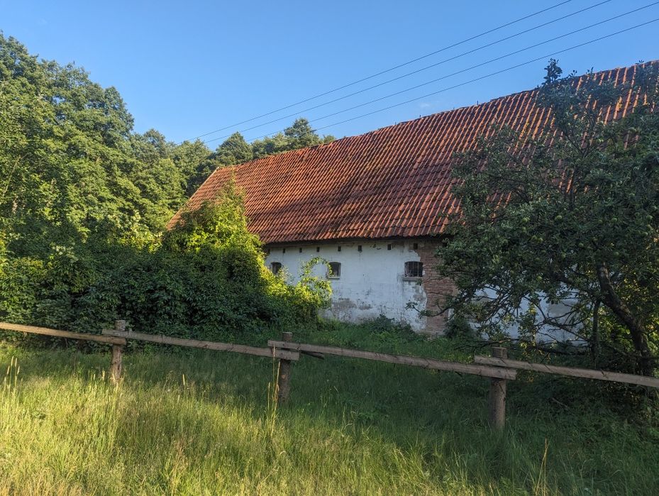 Urocze siedlisko w lesie na Mazurach Szczytno z budynkiem gospodarczym