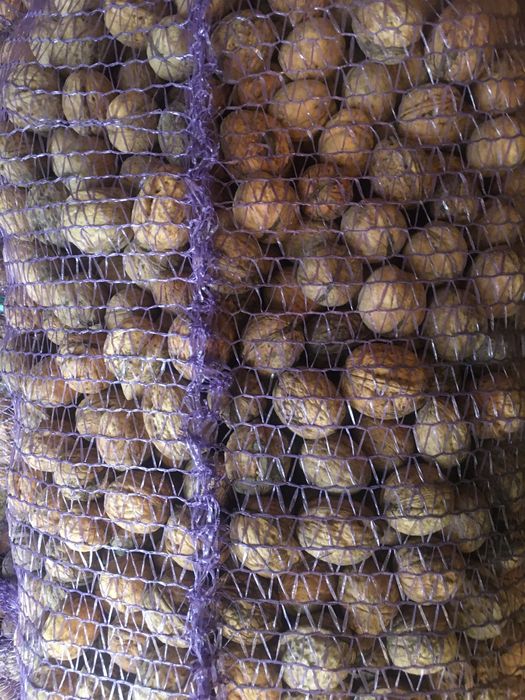 Грецькі горіхи - урожай 2022