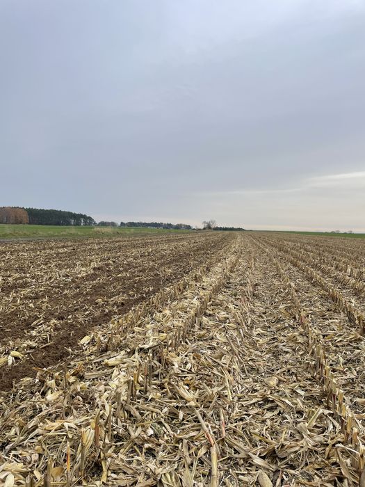 Usługi rolnicze! Lubin i okolice (talerzowanie, gruberowanie, orka)