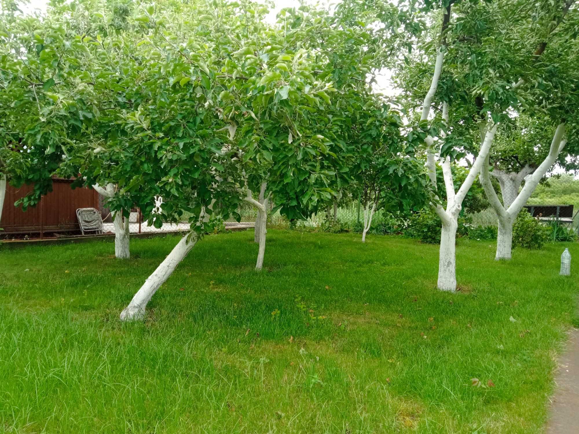 Продаж дачного будинку у садовому товаристві «Водник»