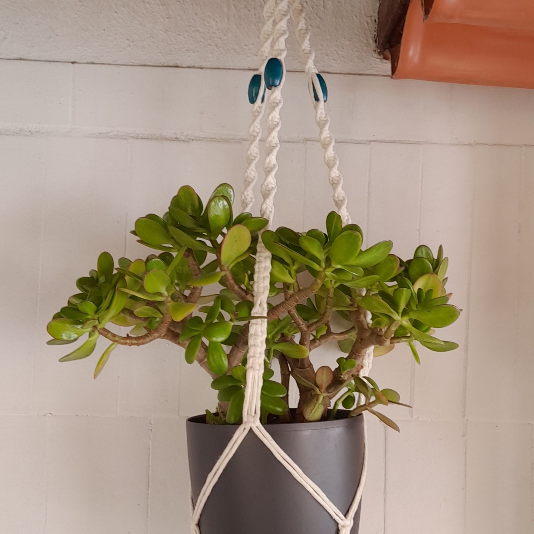 Macramé Suportes para vaso