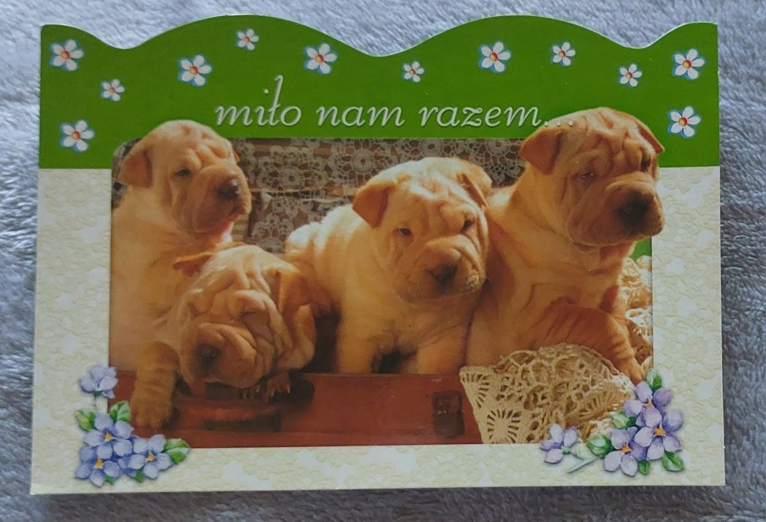 2 kartki pocztowe ze szczeniakami