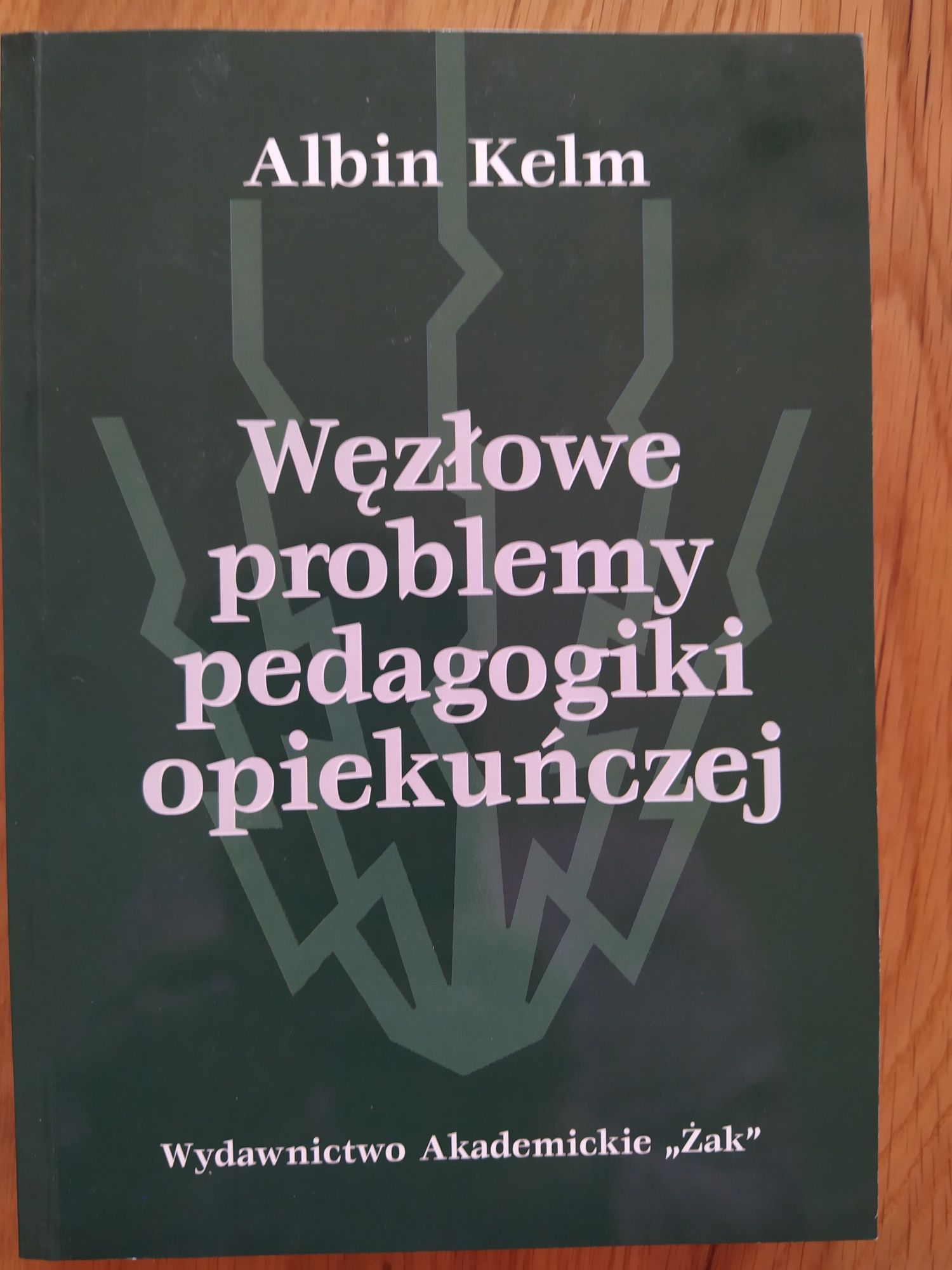 Węzłowe problemy pedagogiki opiekuńczej, Albin Kelm