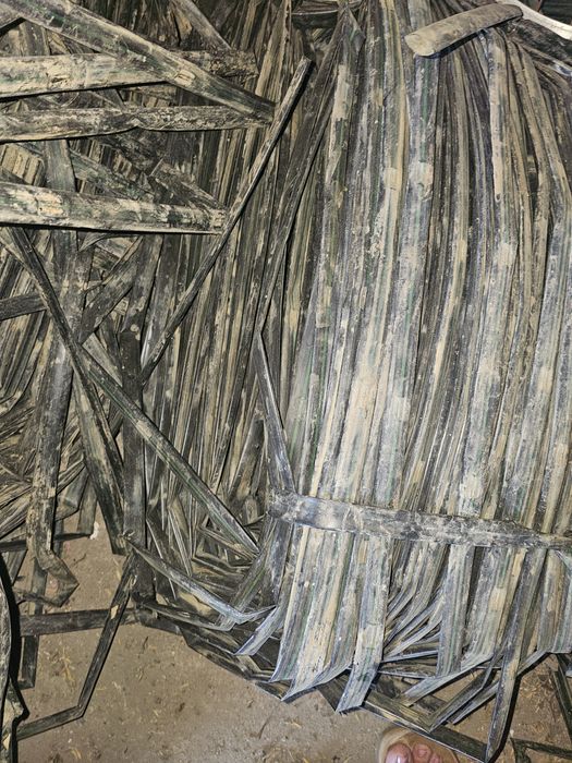 Taśma kropelkowa, kapilary, nawadnianie