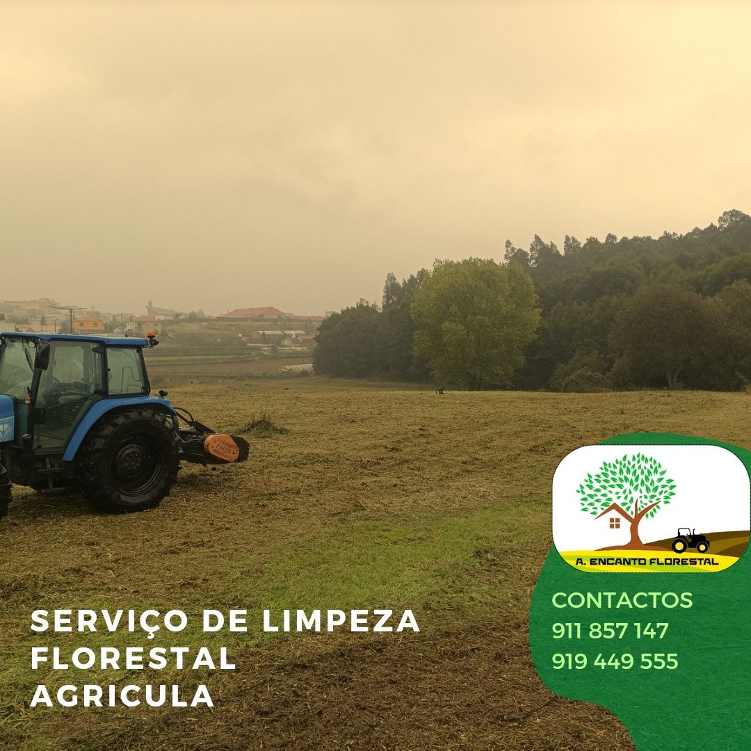 Limpezas terrenos florestal/agricola