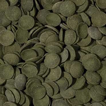 Pokarm dla glonojadów Tropical Green Algae Wafers 250ml 110g