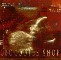 CROCODILE SHOP  cd Beneath        ebm