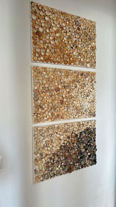 Telas de conchas .Faço sobre encomenda.