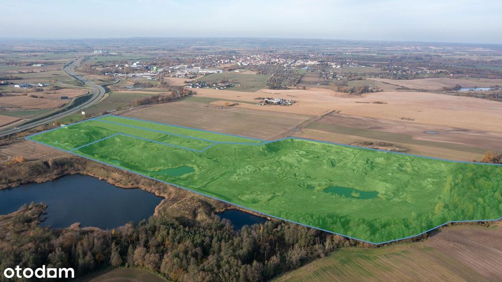 Teren inwestycyjny 19,68 ha przy S7 – Nowa Wieś / Pasłęk