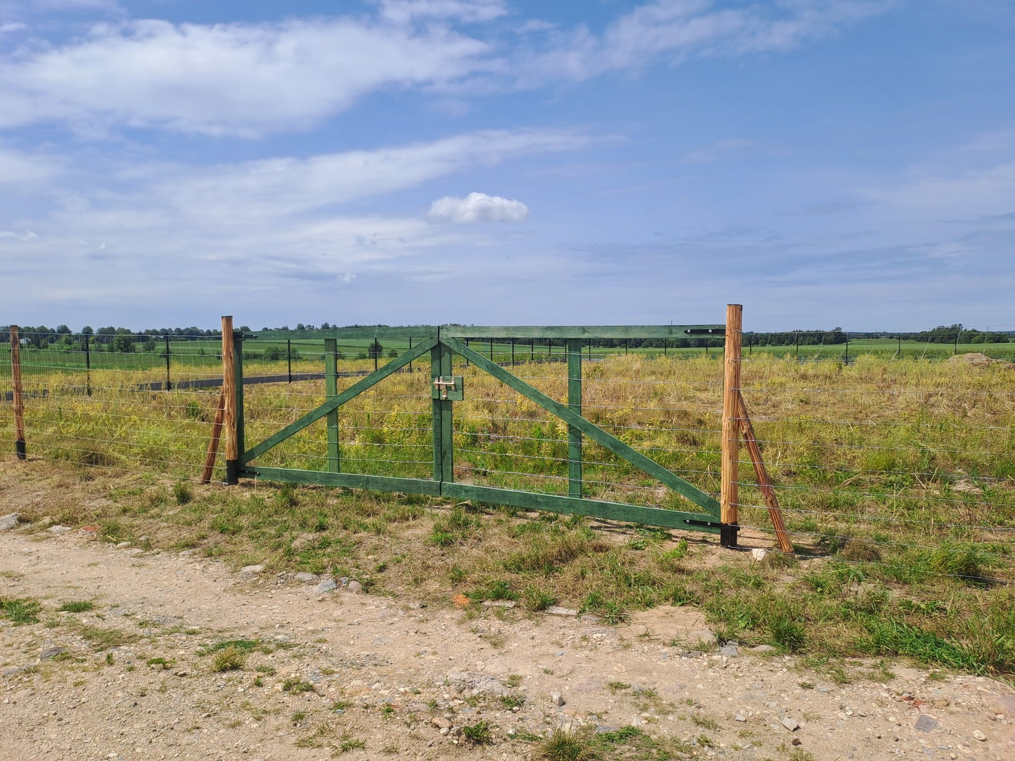 Ogrodzenie budowlane i leśne Siatka leśna