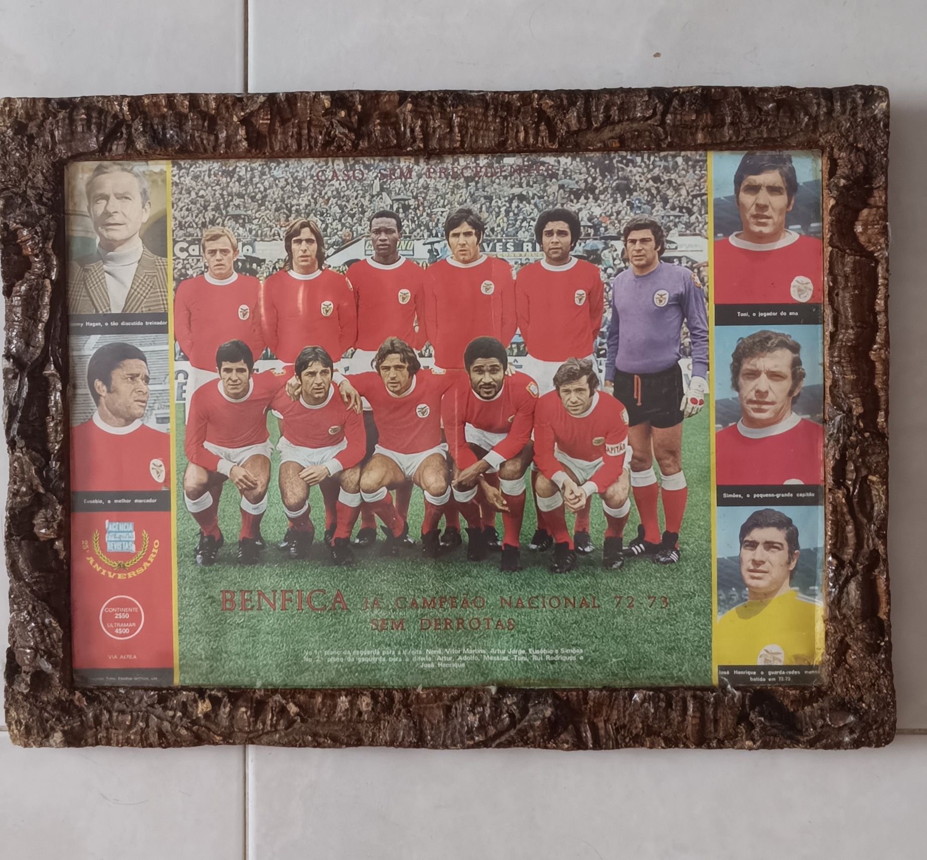 Quadro do Benfica Campeao 53 anos