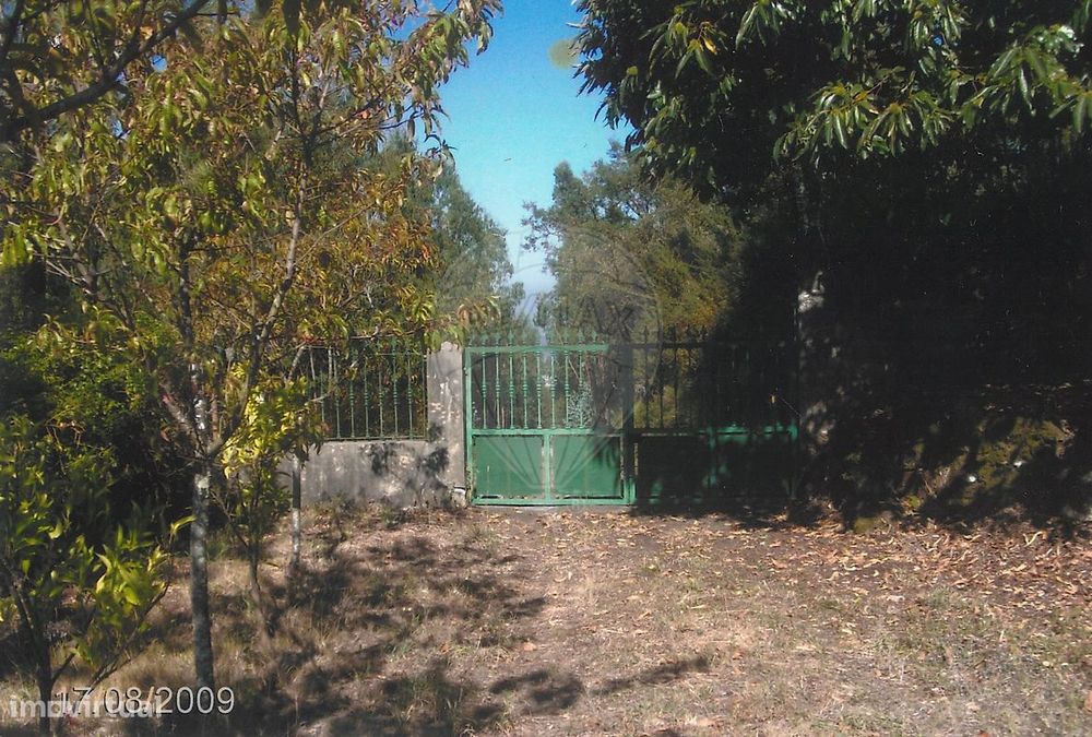 Terreno  para venda