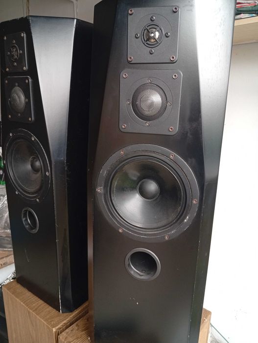 ACR SWISS CELLO kolumny podłogowe 200w Szwecja