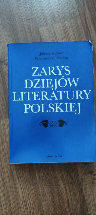 Zarys dziejów literatury