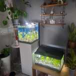 Zestaw akwarium+szafka firmy aquael  49l