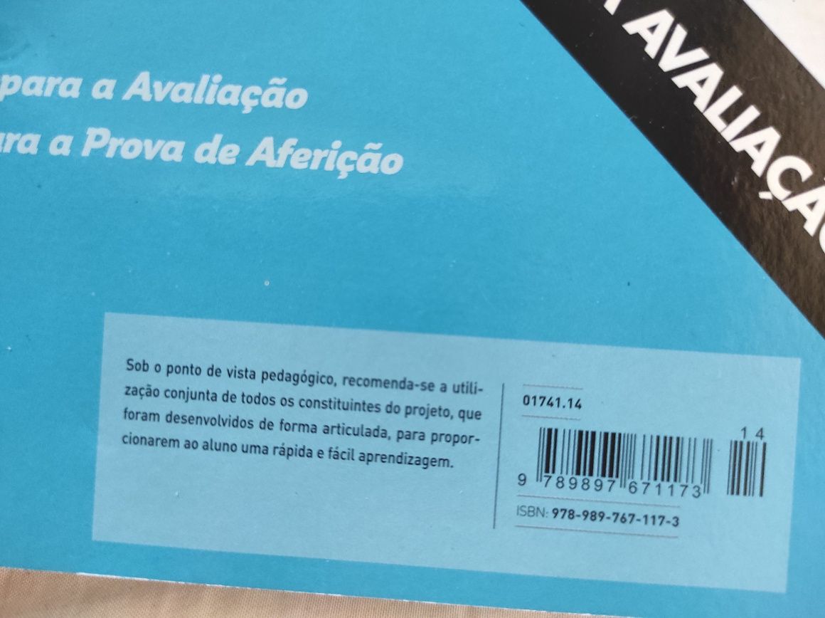 100% Matemática 5° ano caderno atividades