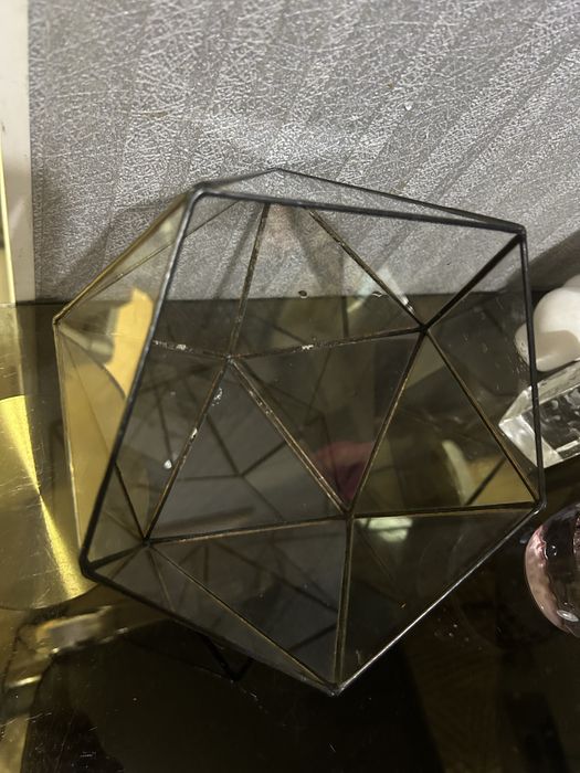 Флораріум для сукулентів