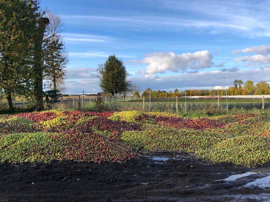 Продається земельна ділянка