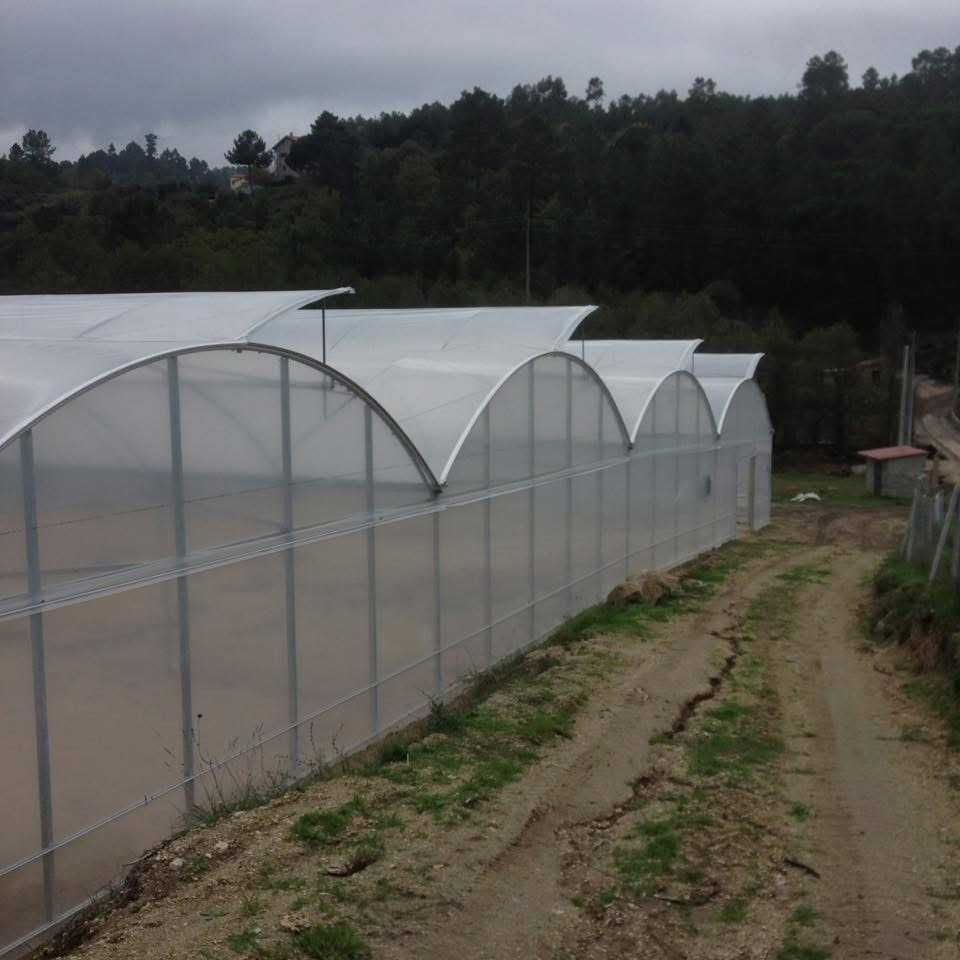 Estufas agrícolas FERTRI