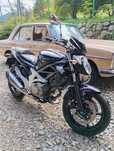 Suzuki gladius polski salon