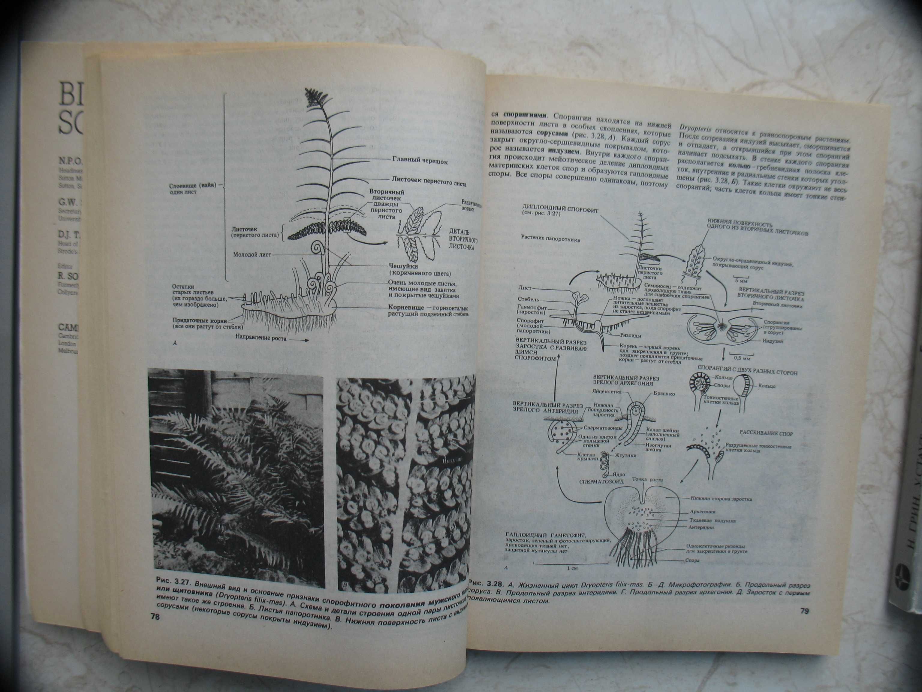 "Биология" в трех томах, Грин, Стаут, Тейлор, 1996 год