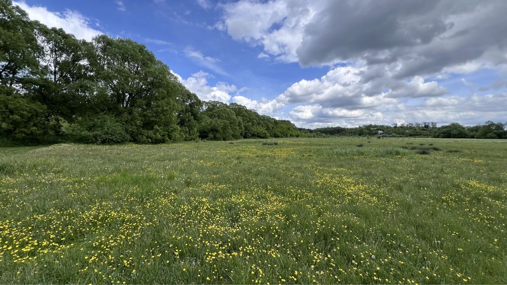 Продаж земельної ділянки Івачів
