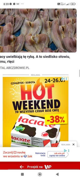 Cegła rozbiórkowa