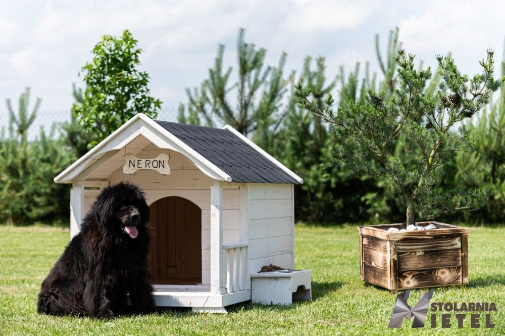Bardzo duża buda dla psa z tarasem z litego drewna GRATISY