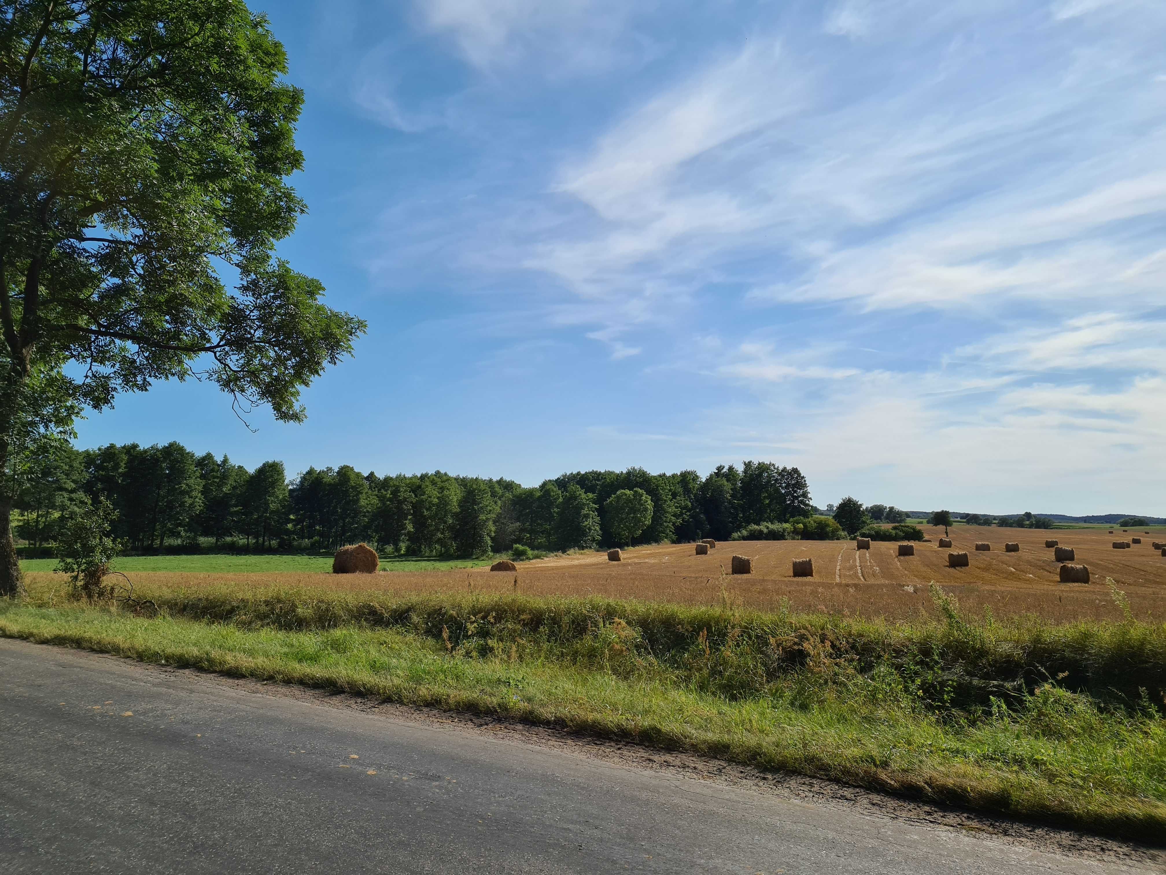 Działka 1000m2 Orchowo Słowikowo Skorzęcin Park Krajobrazowy