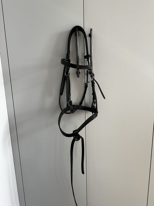 Ogłowie Dyon  Working