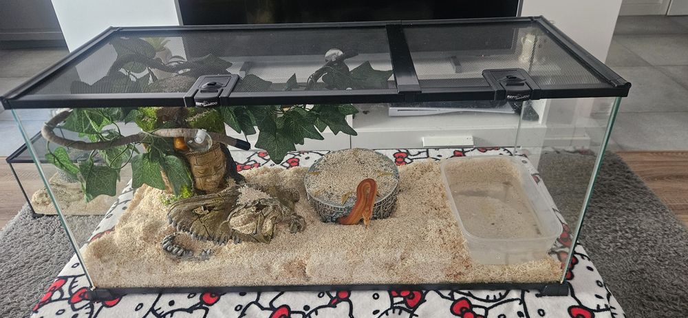 Terrarium 75x30x35cm + dodatki!