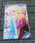Puzzle Elsa Anna Kraina lodu
