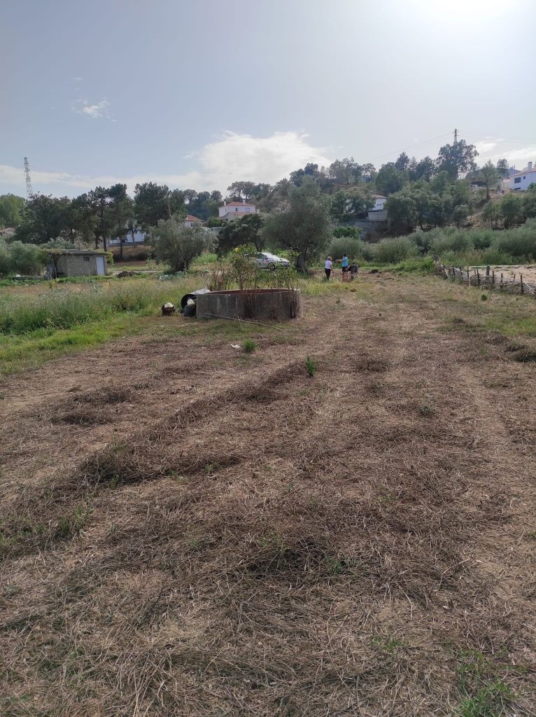 Terreno Agrícola