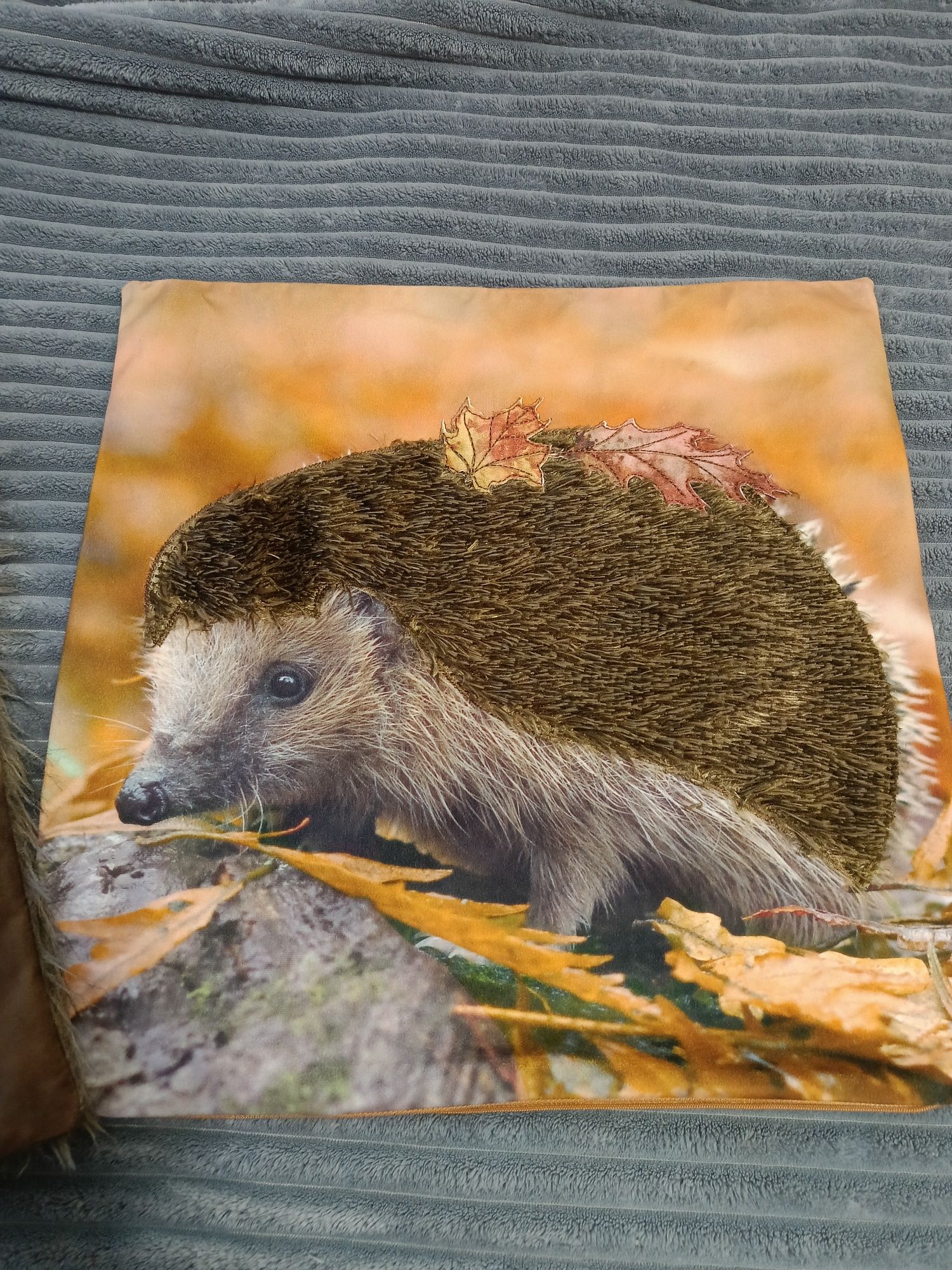 Poszewka jesienna jeż 45x45 home you