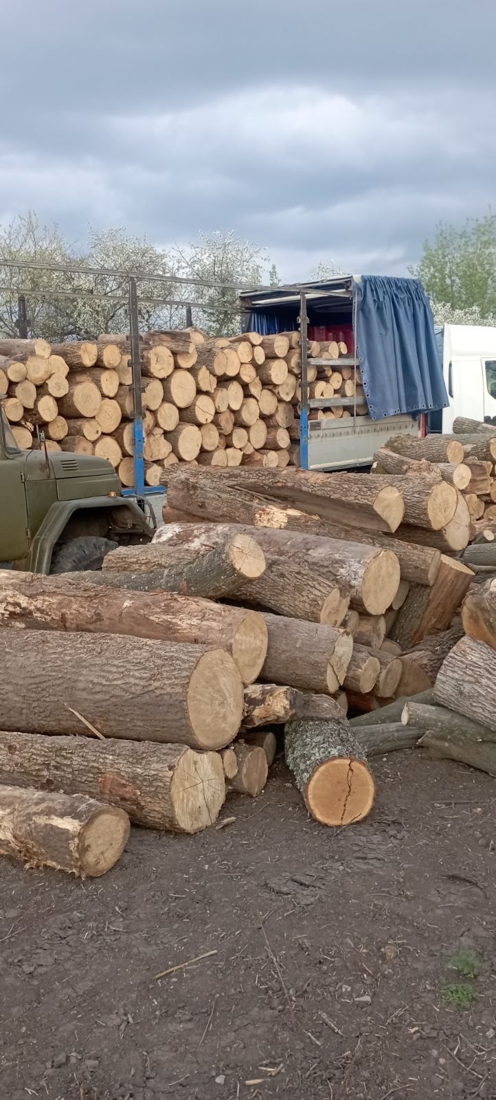 Доставка дров ціна низька