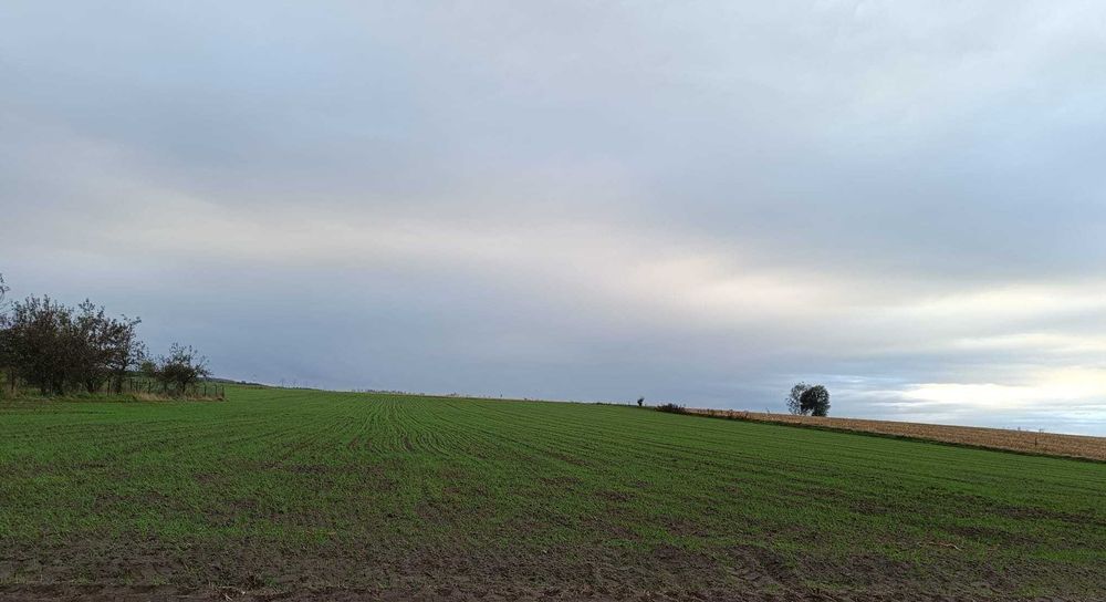 Sprzedam Działki Budowlane  SZCZEPANKOWO