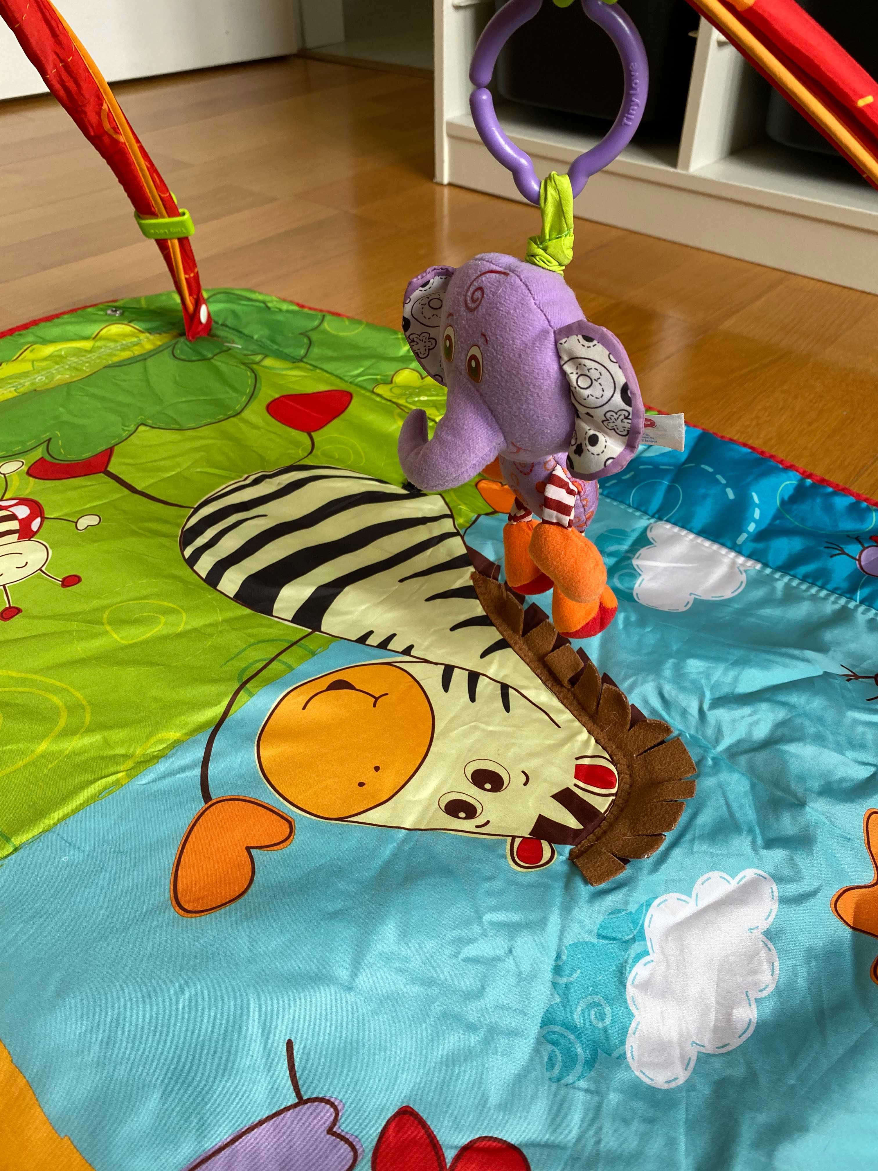 Tapete de Atividades Gymini Move & Play - TINY LOVE