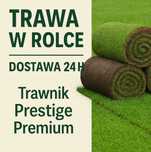 Trawa w rolce – Dostawa 24 h – Trawnik Prestige Premium