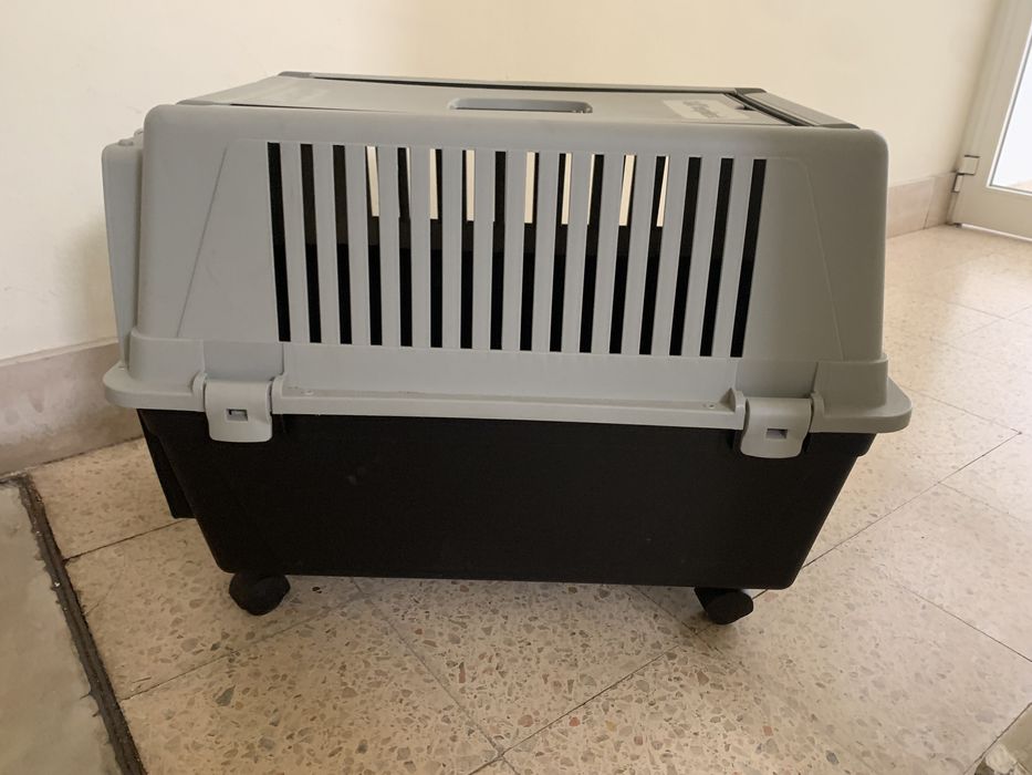Transportadora animais com rodas